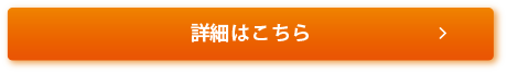 詳細ボタン